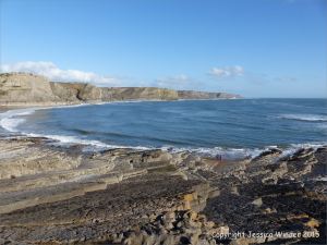 Limestone rock texture on the Gower coast