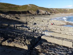 Limestone rock texture on the Gower coast