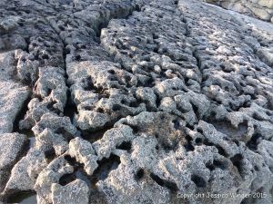 Limestone rock texture on the Gower coast