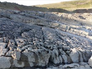 Limestone rock texture on the Gower coast