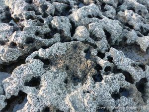 Limestone rock texture on the Gower coast