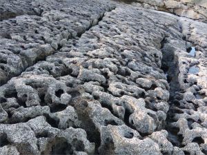 Limestone rock texture on the Gower coast
