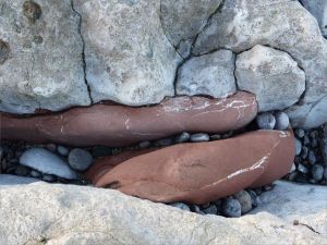Limestone rock texture on the Gower coast