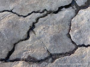 Limestone rock texture on the Gower coast