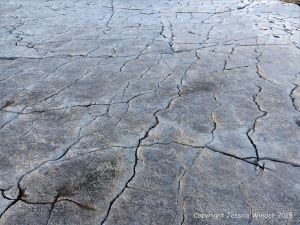 Limestone rock texture on the Gower coast