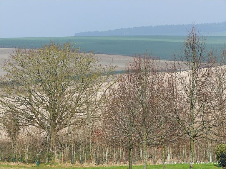 A Dorset landscape in March