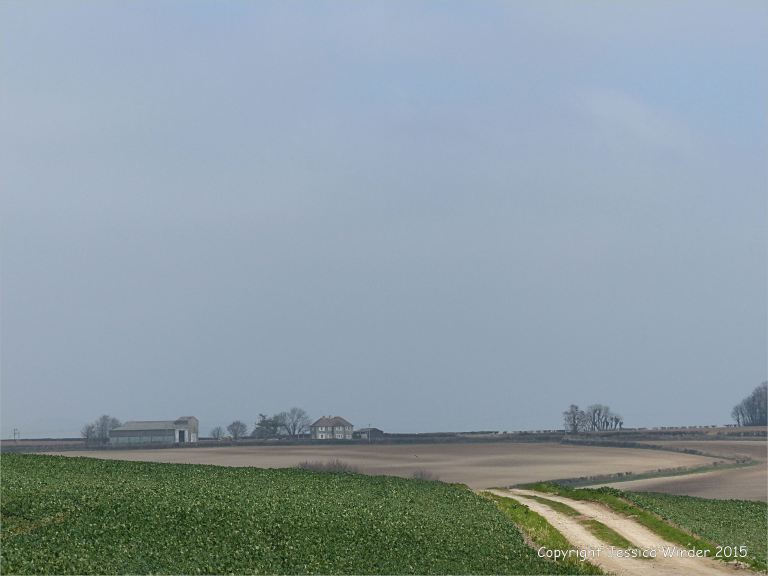 View from the top of Charlton Down across farming countryside