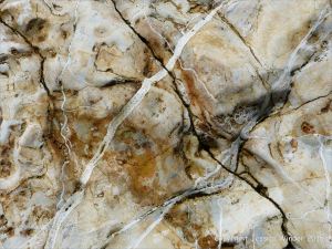 Detail of structure in a beach boulder
