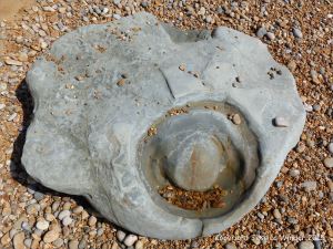 Beach boulder in shingle at the water's edge