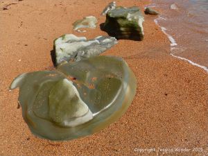 Beach boulder in shingle at the water's edge