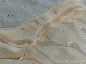Detail of structure in a beach boulder