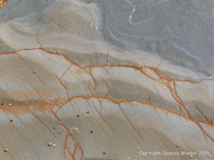 Detail of structure in a beach boulder