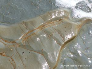 Detail of structure in a beach boulder