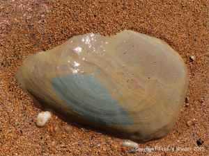 Beach boulder in shingle at the water's edge