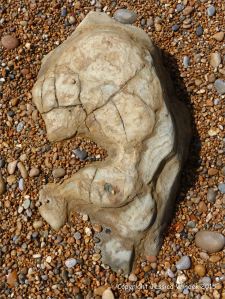 Beach boulder in shingle at the water's edge