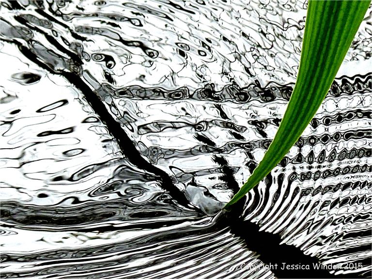 Macro-photograph of reflection patterns made by a trailing leaf in a small river