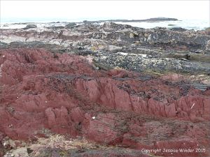 Red sandstone Devonian rocks on the seashore