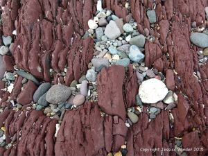Red sandstone Devonian rocks on the seashore