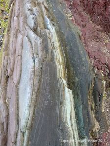 Red sandstone Devonian rocks on the seashore