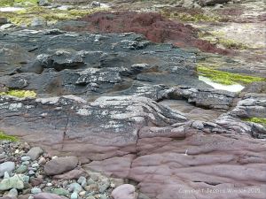 Red sandstone Devonian rocks on the seashore