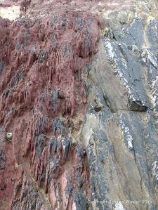 Devonian sandstone rocks on the seashore