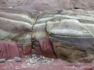 Devonian sandstone rocks on the seashore