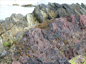 Devonian sandstone rocks on the seashore
