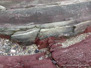 Devonian sandstone strata on the shore at Fermoyle