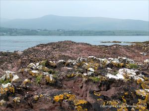 Red sandstone rocks with black, yellow, and white lichens on the seashore