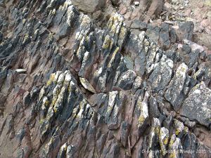 Devonian red sandstone strata with black lichen on the seashore
