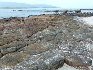 Devonian red sandstone on the shore at Fermoyle
