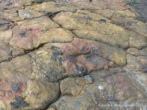 Devonian red sandstone on the shore at Fermoyle