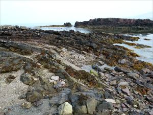 Devonian domed sandstone strata on the beach at Fermoyle