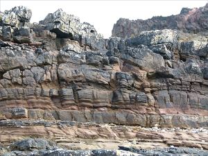 Devonian sandstone strata on the beach at Fermoyle