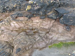 Devonian sandstone strata on the beach at Fermoyle