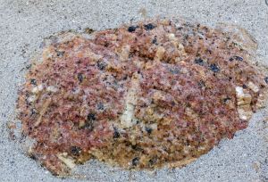 Pattern and texture of rock in a wall