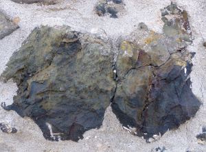Pattern and texture of rock in a wall