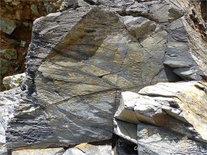 Cornish rock texture and pattern