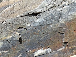 Cornish rock texture and pattern
