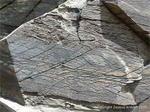 Cornish rock texture and pattern