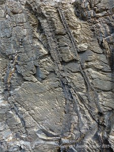Cornish rock texture and pattern