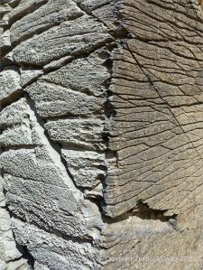 Cornish rock texture and pattern