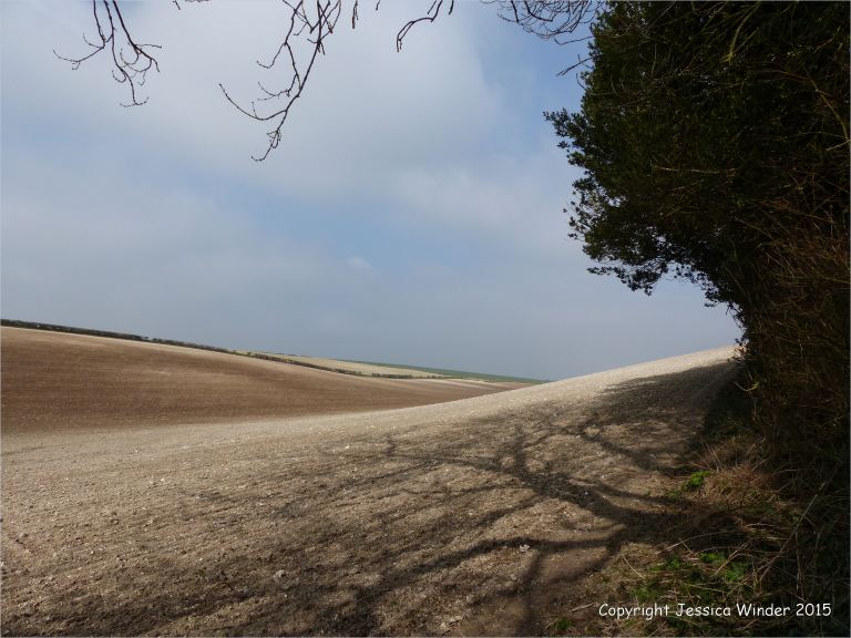 Seasonal changes in the arable landcape
