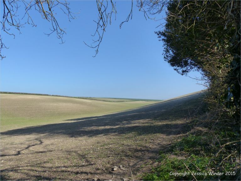 Seasonal changes in the arable landcape