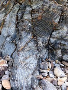 Detail of natural pattern and texture in rock from the Mylor Slate Formation