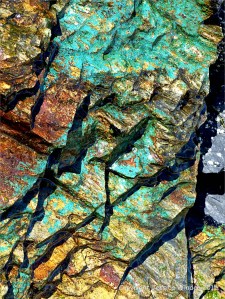 Bright blue-green patch on Mylor Slate Formation rock