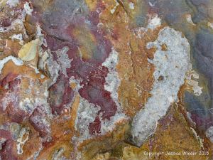 Interesting patterns on rip-rap at Seaton in Devon, England