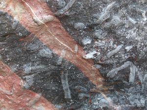 Interesting Patterns with trace fossils in rip-rap at Seaton in Devon, England