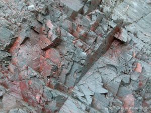 Close-up of weathering rock strata at Red Point on Grand Manan in New Brunswick, Canada