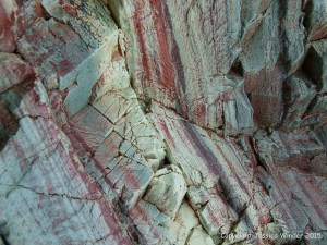 Close-up of weathering rock strata at Red Point on Grand Manan in New Brunswick, Canada